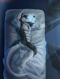 abs anthro backpack bed biceps big_muscles biped bird's-eye_view black_body black_fur black_hair blue_eyes butt cellphone chest_tuft city claws clothing countershading electronics fur furniture gloves hair hand_behind_head handwear high-angle_view lying male multicolored_body multicolored_fur muscular muscular_anthro muscular_arms muscular_male night nude on_bed on_side pecs phone pillow serratus solo tail toe_claws topwear tuft two_tone_body two_tone_fur vest white_body white_countershading white_fur vress_(artist) discordnight sergal 2016 digital_media_(artwork) full-length_portrait hi_res portrait