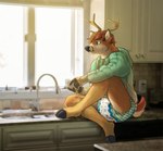 anthro antlers brown_body brown_fur clean_diaper clothed clothing detailed_background diaper fur holding_object hoodie hooves horn kitchen kitchen_counter male relaxing sink solo tan_body tan_fur topwear wearing_diaper wetness_indicator flax_(artist) abuniverse littlepawz deer mammal 2020 hi_res