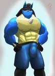 abs anthro athletic athletic_wear balls_outline barazoku belt biceps black_arms black_belt black_body black_fur black_legs blue_arms blue_body blue_bottomwear blue_clothing blue_fur blue_head blue_pants bottomwear brown_hair bulge clothing detailed_bulge erection erection_under_bottomwear erection_under_clothing fur genital_outline gym_bottomwear gym_shorts hair looking_at_viewer male muscular muscular_biceps muscular_legs muscular_male nipples pants pecs penis_outline red_eyes shorts solo tight_clothing yellow_body yellow_fur neotorakuma nintendo pokemon generation_4_pokemon lucario pokemon_(species) 2021 absurd_res hi_res