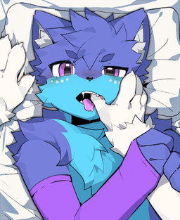 anthro arm_warmers armwear bed_sheet bedding blue_body bodily_fluids chest_fur clothing drooling eyebrows finger_in_mouth inner_ear_fluff male mattress mouth_play multicolored_body open_mouth pillow pupils purple_eyes saliva solo tuft two_tone_body zibao999 leosh canid canine fox mammal hi_res