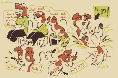 anthro anthro_to_feral biped black_bottomwear black_clothing black_pants bottomwear brown_body brown_fur claws clothed clothed_anthro clothing dialogue eyes_closed female feral floppy_ears fluffy fur green_clothing green_eyes green_shirt green_topwear happy lying on_back open_mouth pants pawpads paws quadruped shirt simple_background sitting solo species_transformation speech_bubble tail tail_motion tailwag teeth text topwear transformation transformation_sequence white_background velvaite canid canine canis domestic_dog mammal digital_drawing_(artwork) digital_media_(artwork) english_text hi_res sequence signature