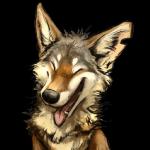 1:1 2016 :d ^o^ alpha_channel ambiguous_gender black_body black_fur black_nose brown_body brown_fur canid canine canis coyote digital_media_(artwork) eyes_closed feral front_view fur happy headshot_portrait icon kenket mammal multicolored_body multicolored_fur open_mouth open_smile pink_tongue portrait reaction_image sharp_teeth simple_background smile solo sticker teeth tongue tongue_out transparent_background white_body white_fur