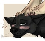 ambiguous_gender anthro black_body black_fur black_nose bubble claws drunk drunk_bubble duo embarrassed fur green_eyes paws paws_on_head substance_intoxication tan_body tan_fur tipsy toe_claws white_body white_fur furrymammy arnulf_bader sariel_kitsune canid canine canis fox mammal wolf headshot_portrait portrait female_(lore) male_(lore)