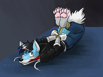 4_toes anthro arms_tied bdsm blue_body blue_fur bondage bottomwear bound captured cloth_gag clothing feet fur gag gagged hands_behind_back hogtied jacket kidnapping legs_tied lying male male_anthro on_front pants pawpads paws pink_pawpads restraints rope rope_bondage simple_background solo toes topwear white_body white_fur vir-no-vigoratus canid canine canis mammal wolf 4:3