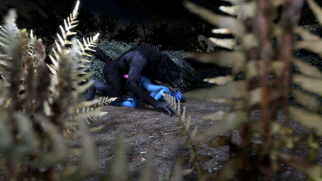 3d alien all_fours anal animated anthro asari big_breasts breasts bush canine cgi comandorekin doggystyle duo female forced from_behind humanoid interspecies male male/female mammal mass_effect penis rape sex side_boob source_filmmaker spying the_elder_scrolls_v:_skyrim video_games were werewolf wolf
Rating: Explicit
Score: 17
User: Comandorekin
Date: January 11, 2015 3d alien all_fours anal animated anthro asari big_breasts breasts bush canine cgi comandorekin doggystyle duo female forced from_behind humanoid interspecies male male/female mammal mass_effect penis rape sex side_boob source_filmmaker spying the_elder_scrolls_v:_skyrim video_games were werewolf wolf
Rating: Explicit
Score: 17
User: Comandorekin
Date: January 11, 2015