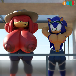 anthro big_breasts big_bulge big_muscles big_pecs breasts bulge clothing cowboy_hat crossgender duo eyewear eyewear_on_head gynomorph hat headgear headwear huge_breasts huge_pecs hyper hyper_breasts intersex intersex/male male mtg_crossgender mti_crossgender muscular muscular_male nipples pecs summer sunglasses sunglasses_on_head sunny surprised thick_thighs onyxsplash sega sonic_the_hedgehog_(series) knuckles_the_echidna sonic_the_hedgehog echidna eulipotyphlan hedgehog mammal monotreme 1:1 3d_(artwork) blender_(artwork) blender_cycles_(artwork) digital_media_(artwork) hi_res unavailable_at_source