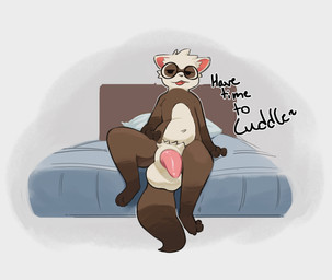 anthro balls bed big_penis brown_body countershading cuddle_request eyewear fur furniture genitals glasses hand_on_hip male multicolored_body penis pink_penis presenting presenting_penis sitting small_but_hung solo tapering_penis text white_body white_countershading white_fur white_head cocofish broch domestic_ferret mammal mustelid musteline true_musteline weasel absurd_res hi_res