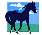 6:5 digital_media_(artwork) equid equine faime_registry feral hi_res horse mammal rhari solo