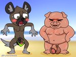 anthro balls barely_contained barely_contained_penis beach big_balls blush clothing duo genitals ineffective_clothing looking_at_genitalia looking_at_penis male nude outside overweight overweight_male penis seaside gotchimilk aggretsuko sanrio director_ton haida_(aggretsuko) domestic_pig hyena mammal spotted_hyena suid suina sus_(pig)