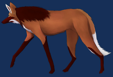 ambiguous_gender black_mane brown_body brown_fur canine_teeth dipstick_tail feral fur leg_markings looking_away mane markings pawpads side_view simple_background socks_(marking) solo tail tail_markings transparent_background walking white_tail_tip tiena canid canine mammal maned_wolf 2017 absurd_res alpha_channel digital_media_(artwork) hi_res shaded soft_shading