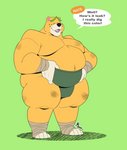2020 4_toes animal_crossing anthro bear black_nose english_text feet fur green_background hi_res male mammal nate_(animal_crossing) nintendo overweight overweight_male plantigrade simple_background sumo text thebiz_(artist) toes yellow_body yellow_fur