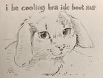 2022 ambiguous_gender caption domestic_cat english_text felid feline felis feral fur graphite_(artwork) hybrid lagomorph leporid looking_at_viewer mammal meme monochrome pencil_(artwork) rabbit reaction_image redraw remy_boydell simple_background sketch solo text traditional_media_(artwork) whiskers white_background