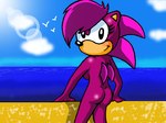 anthro beach breasts butt cloud day female nude nude_female sand seaside side_boob sky solo water sonictopfan sega sonic_the_hedgehog_(series) sonic_underground sonia_the_hedgehog eulipotyphlan hedgehog mammal 4:3