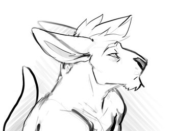 anthro chin_tuft ears_back facial_tuft male male_anthro mouth_closed narrowed_eyes nude pivoted_ears side_view simple_background solo tail tuft solaxe_(artist) solaxe kangaroo macropod mammal marsupial 4:3 bust_portrait hi_res monochrome portrait sketch