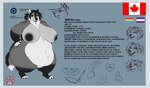 2020 4_toes 5_fingers absurd_res alicia_(biglovealicia) ambient_horse anthro areola arm_tuft belly belly_tuft big_areola big_belly big_breasts biglovealicia biped black_areola black_claws black_feet black_hair black_hands black_nipples blue_background blue_border blue_eyes border breasts brush brushing canada canadian_flag candy canid canine canis character_name cheek_tuft chocolate claws colored container cup deep_navel dessert digitigrade ears_down ears_up english_text expression_sheet eyes_closed facial_tuft feet female finger_claws fingers food full-length_portrait fur grey_arms grey_body grey_breasts grey_fur grey_legs hair hand_on_hip heart_symbol hi_res huge_belly huge_breasts huge_thighs information leaf legs_tuft looking_at_viewer mammal measurements model_sheet monotone_hair morbidly_obese morbidly_obese_female multicolored_body multicolored_fur navel neck_tuft nipples nude number obese obese_female open_mouth overweight overweight_female pawpads pink_pawpads pivoted_ears portrait short_hair simple_background simple_coloring sketch solo story tail text thick_arms thick_thighs three-quarter_view toe_claws toes tuft tufted_ears white_belly white_paws wide_hips wolf wolf_tail