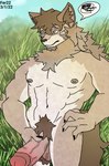 absurd_res anthro canid canine canis fer genitals hachi_duchi hi_res male mammal penis pubes solo wolf