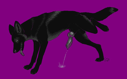 ahegao animal_genitalia animal_penis balls black_body black_claws black_fur black_sheath bodily_fluids canine_genitalia canine_penis claws cum cum_on_ground cumshot dewclaw digitigrade ejaculation fangs feral fur genital_fluids genitals grey_body grey_fur grey_skin half-closed_eyes highlights_(coloring) inner_ear_fluff knot looking_pleasured male narrowed_eyes open_mouth orgasm pawpads penis presenting presenting_penis purple_background purple_highlights raised_leg sheath simple_background solo teeth tongue tongue_out tuft curdog canid canine canis domestic_dog mammal 16:10 2019 aliasing digital_media_(artwork) widescreen