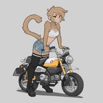 anthro athletic athletic_anthro athletic_female bottomwear brown_body brown_eyes brown_fur clothed clothing crop_top cutoffs denim denim_bottomwear denim_clothing ear_piercing ear_ring female fur gloves handwear jeans legwear motorcycle navel pants piercing ring_piercing shirt shorts simple_background slim solo t-shirt tail thigh_highs topwear vehicle 427deer honda monika_lee capuchin_monkey cebid haplorhine mammal monkey new_world_monkey primate 1:1 absurd_res hi_res