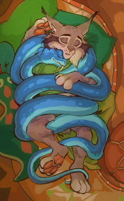 anthro blue_body blue_scales clothed clothing coiled_up coiling coiling_another duo feral fur grey_body grey_fur male pawpads paws pointy_ears scales sleeping sleeping_together sweater topwear tuherrus disney zootopia gary_de'snake pawbert_lynxley canada_lynx felid feline lynx mammal pit_viper reptile scalie snake viper hi_res