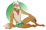 abs anthro bulge clothed clothing hair kerchief looking_at_viewer male neckerchief smile smug solo topless underwear white_hair dragondrawer nintendo star_fox fox_mccloud canid canine fox mammal 2023 digital_media_(artwork) hi_res