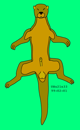 animal_genitalia balls brown_body brown_fur eyes_closed feral fur genitals green_body green_fur high-angle_view lying male on_back otter_tail sheath solo spread_legs spreading urbanhermit mammal mustelid otter 1999 colored dated