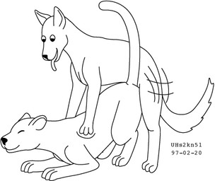 duo female feral from_behind_position happy happy_sex humping interspecies male male/female mounting nude sex simple_background smile tail thrust_lines thrusting tongue tongue_out toony white_background urbanhermit canid canine felid feline mammal 1997 black_and_white dated low_res monochrome