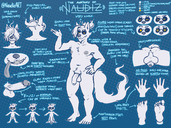 5_toes anthro anus backsack balls bangs big_penis blue_background erection eyewear feet flaccid fluffy fluffy_tail foreskin frenulum frown fur genitals glans glasses glistening glistening_genitalia glistening_glans glistening_penis hair hair_over_eyes hand_on_hip humanoid_genitalia humanoid_penis male nipples nude penis plantigrade ponytail pubes rear_view retracted_foreskin saggy_balls side_bangs simple_background smile solo standing tail text toes tongue tongue_out unretracted_foreskin urethra white_body white_fur naudiz_(artist) naudiz canid canine canis domestic_dog mammal wolf english_text hi_res model_sheet