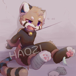 3_toes 4_fingers ankle_cuffs ankles_tied anthro arms_tied bell bell_collar black_body black_fur black_inner_ear bodily_fluids bound circle_eyebrows clothing collar cracked_wall cuff_(restraint) cute_fangs dipstick_ears discarded_legwear drooling ear_markings eyebrows fangs feathers feet fingers foot_fetish foot_focus foot_play footprint fur hands_behind_back head_tuft leash leash_pull leashed_collar legwear looking_down male markings multicolored_ears naturally_censored nude one_sock one_sock_on open_mouth paw_socks pawpads pawprint pawprint_socks paws pink_pawpads purple_eyes red_body red_fur restraints saliva saliva_string shrew's_fiddle sitting sitting_on_ground sock_fetish solo spread_legs spreading stake stocks striped_body striped_fur striped_markings striped_tail stripes struggling tail tail_markings tan_body tan_fur teeth text tickle_fetish tickle_torture tickling tickling_feet toes tongue tuft wall_(structure) white_ears white_eyebrows white_toes young young_anthro young_male emolga_1 ailurid mammal red_panda chinese_text translated watermark