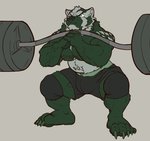 2017 absurd_res anthro badger barazoku barbell belly belt body_writing bottomwear bulge bursikbadger clothed clothing english_text exercise grey_background hi_res knee_pads male mammal musclegut muscular muscular_anthro muscular_male mustelid musteline nightterror pecs puffed_cheeks shorts simple_background solo squats text text_on_body topless topless_male vein veiny_muscles weightlifting weights workout writing_on_belly writing_on_chest