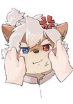 angry anthro blue_eyes brown_body brown_fur cross-popping_vein cupping_cheek disembodied_hand duo eyebrows fur hair heterochromia male red_eyes simple_background solo thick_eyebrows white_background white_hair young young_anthro zimasanda lifewonders tokyo_afterschool_summoners masashi_(tas) canid canine canis domestic_dog mammal hi_res