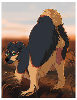 animal_genitalia animal_penis anus ass_up backsack balls black_body black_fur brown_body brown_fur butt canine_genitalia canine_penis erection feral fur genitals knot knotted_penis male multicolored_body multicolored_fur penis solo two_tone_body two_tone_fur midzushiro terwin canid canine canis domestic_dog german_shepherd herding_dog mammal pastoral_dog hi_res