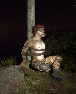 anthro bdsm bondage bottomwear bound captured clothed clothing guy_in_distress husky_retriever_mix kidnapping knee_pads male nature night outside pants plant restraints rope rope_bondage solo star tied_to_pole topless topless_male tree perturbedmania zander_murphy canid canine canis domestic_dog mammal 3d_(artwork) daz_studio_(artwork) digital_media_(artwork) hi_res