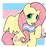 female flag flag_(object) green_eyes holding_flag holding_object lgbt_pride pride_color_background pride_color_flag pride_colors simple_background smile solo transgender_pride_colors wings chalk_note friendship_is_magic hasbro lgbt_pride_month my_little_pony mythology fluttershy_(mlp) equid equine horse mammal mythological_creature mythological_equine pegasus pony