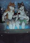 alcohol anthro beverage black_nose blue_eyes boxers briefs brown_fur bucket bulge canine cherrybox chest_tuft clothed clothing dog duo eyes_closed eyewear fur glasses grey_fur grin hot_tub husky male mammal open_mouth pose sitting smile snow topless tuft underwear wine wine_glass winter
Rating: Safe
Score: 11
User: Hardstyle_Chris
Date: February 17, 2014