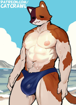 :3 anthro beach bodily_fluids bulge clothing cloud eyes_closed front_view male muscular muscular_male nipples sky solo speedo sweat sweatdrop swimwear catcrawl epic_games fortnite fortnite:_battle_royale meowscles calico_cat domestic_cat felid feline felis mammal hi_res shaded