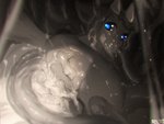 anal anal_penetration blue_eyes bodily_fluids butt cum cum_from_mouth cum_in_ass cum_in_mouth cum_inside cum_on_butt ejaculation excessive_cum excessive_genital_fluids feral feral_penetrated genital_fluids glistening glistening_body glowing glowing_eyes light looking_at_viewer looking_back looking_back_at_viewer lying_on_ground male on_ground penetration rear_view sex simple_background solo tentacle_penetration tentacle_sex tentacles relevancy nintendo pokemon fan_character myrl_(wormy) canid canine eeveelution generation_4_pokemon glaceon mammal pokemon_(species) 2020 digital_media_(artwork) digital_painting_(artwork) greyscale lighting monochrome shaded signature spot_color