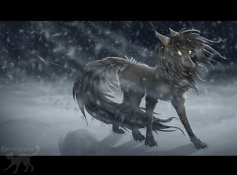 blizzard_(weather) brown_eyes dark digitigrade female feral fur grey_body grey_fur night outside quadruped snow snowing solo tail winter kocurzyca canid canine canis mammal wolf 2012 hi_res