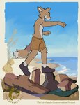 anthro balancing bottomwear cheek_tuft clothed clothed_anthro clothed_male clothing countershade_fur countershading day dipstick_tail facial_tuft fingers footwear fur log male male_anthro markings outside plant rock sand sea seaside shirtless shirtless_anthro shirtless_male shoes shorts side_view sky socks solo tail tail_markings tuft water wood sneasul canid canine mammal 2024 absurd_res digital_media_(artwork) full-length_portrait hi_res portrait