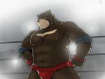 audience biceps brown_body brown_fur bulge clothed clothing fighting_ring fur green_eyes group male muscular navel nipples slightly_chubby solo topless underwear wrestler wrestling shinoda_hamazaki bear mammal hi_res