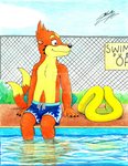 anthro blue_clothing blue_swimming_trunks blue_swimwear clothing fur male orange_body orange_fur solo swimming swimming_pool swimming_trunks swimwear sagadreams nintendo pokemon floatzel generation_4_pokemon pokemon_(species)