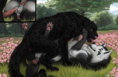 anal anal_penetration anus balls black_body black_fur black_spots black_tail bodily_fluids butt close-up cloud countershade_fur countershade_torso countershading cum cum_on_balls cutaway duo erection eye_contact feral feral_on_feral feral_penetrated feral_penetrating feral_penetrating_feral fur genital_fluids genitals green_eyes grey_body grey_fur knot knotted_penis licking looking_at_another lying lying_on_ground male male/male male_feral male_penetrated male_penetrating male_penetrating_male markings on_back on_ground open_mouth outside_sex penetration penile penile_penetration penis penis_in_ass plant quadruped red_eyes sex sky smile spots spotted_body spotted_fur spotted_markings spotted_tail tail tail_markings teeth tongue tongue_out tree eleacat nintendo pokemon eliv jumwo felid generation_3_pokemon mammal mightyena pantherine pokemon_(species) 2025 digital_drawing_(artwork) digital_media_(artwork) hi_res