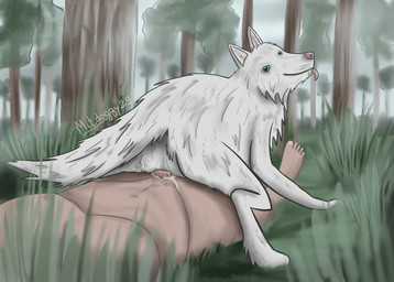 animal_genitalia animal_vulva bestiality blue_eyes bodily_fluids canine_genitalia canine_vulva cum cum_in_vagina cum_inside day detailed_background duo female female_penetrated feral feral_on_top feral_penetrated fog forest fur genital_fluids genitals grass human_on_feral human_penetrating human_penetrating_feral inner_ear_fluff interspecies looking_at_another male male/female male_on_feral male_penetrating male_penetrating_female on_bottom on_top outside paws penetration penile penile_penetration plant reverse_cowgirl_position sex smile smirk tail tongue tongue_out tree tuft upside_down_vulva vaginal vaginal_penetration vulva white_body white_fur mitdoggy29 canid canine canis domestic_dog human mammal digital_media_(artwork) hi_res