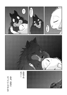 canine caprine comic gabu gay goat greyscale japanese_text kissing love male mammal mei monochrome one_stormy_night text translation_request unknown_artist wolf
Rating: Safe
Score: 0
User: slyroon
Date: April 20, 2014