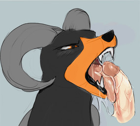 ambiguous_feral ambiguous_gender bestiality black_body black_fur duo fangs fellatio feral fur genitals horn human_on_feral humanoid_genitalia humanoid_penis interspecies licking male male_human male_on_feral old_artwork oral orange_body orange_eyes orange_fur orange_mouth penile penis penis_lick penis_on_tongue sex sharp_teeth teeth thick_tongue tongue haz3y third-party_edit ungulatr nintendo pokemon canid canine generation_2_pokemon houndoom human mammal pokemon_(species) color_edit colored