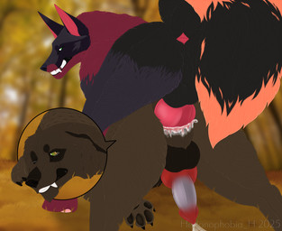 airfoxxx anal anal_penetration animal_genitalia animal_penis balls blood bodily_fluids canine_genitalia canine_penis close-up cum cum_in_ass cum_inside dominant dominant_male duo erection feral feral_on_feral feral_penetrated feral_penetrating feral_penetrating_feral forced genital_fluids genitals knot knotted_penis large_penetration male male/male male_penetrated male_penetrating male_penetrating_male penetration penile penile_penetration penis rape sex snarling stretched_anus tears tears_of_pain hedonophobia_h hed_(hedonophobia_h) canid canine canis domestic_dog fox mammal hi_res