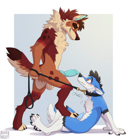 animal_genitalia animal_penis anthro balls bdsm black_body black_fur blue_background blue_body blue_fur blush canine_genitalia canine_penis claws collar dominant dominant_anthro dominant_male duo erection feet finger_claws foot_fetish foot_on_crotch foot_on_penis foot_play footjob fur genitals knot knotted_penis leash leash_pull leashed_collar male male/male markings multicolored_body multicolored_fur nude_anthro nude_male orange_body orange_fur paws penile penis red_body red_fur sex side_view simple_background sitting spots spotted_body spotted_fur standing stepped_on submissive submissive_anthro submissive_male tan_body tan_fur toe_claws white_background white_body white_fur remywolf canid canine canis domestic_dog husky mammal nordic_sled_dog spitz hi_res