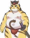 anthro asian_clothing clothing east_asian_clothing fundoshi japanese_clothing kemono male moobs navel nipples overweight overweight_male red_clothing red_fundoshi red_underwear simple_background solo underwear weapon white_background ptcmtr tamacolle hitachi_(tamacolle) felid mammal pantherine tiger 2025 absurd_res hi_res