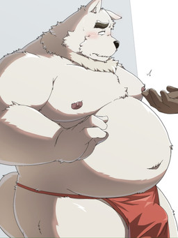 anthro asian_clothing belly big_belly black_nose blush bulge clothing duo east_asian_clothing fundoshi fur grey_body grey_fur humanoid_hands japanese_clothing kemono male moobs nipples overweight overweight_male red_clothing red_fundoshi red_underwear solo_focus standing underwear emufu canid canine canis domestic_dog mammal 2026 hi_res