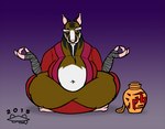 anthro balls belly big_balls brown_body genitals male meditation navel one_eye_closed overweight overweight_male pink_nose sake_bottle sitting solo connercoon teenage_mutant_ninja_turtles teenage_mutant_ninja_turtles_(2012) master_splinter mammal murid murine rat rodent 2015