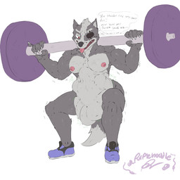 abdominal_bulge anthro barbell belly black_nose crouching exercise eye_patch eyewear fur grey_body grey_fur male male_pred muscular muscular_male nipples oral_vore rumbling_stomach same_size_vore sharp_teeth struggling struggling_prey teeth text tongue tongue_out vore weightlifting workout purplen00dle nintendo star_fox wolf_o'donnell canid canine canis mammal wolf 1:1 absurd_res english_text hi_res